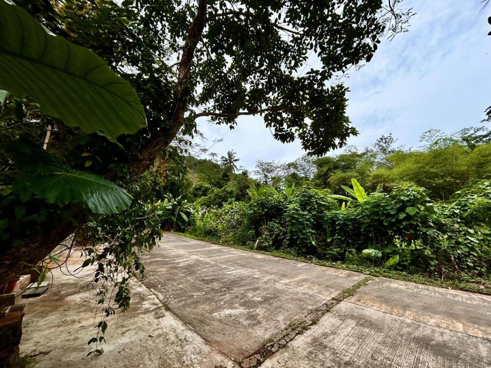 Phuchada Residence Nai Yang Beach Extérieur photo